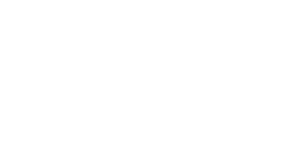Clevernest Logo